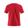 Camiseta PB-8088 Básica Para Hombre