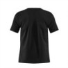 Camiseta PB-8088 Básica Para Hombre